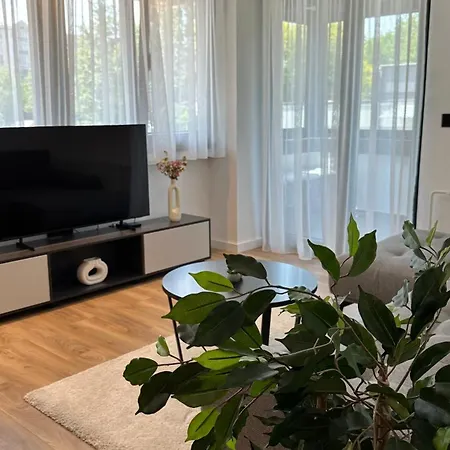 District 21 * Belgrado